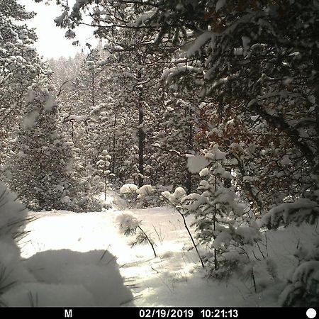 Old Raton Pass Base Camp Cabin With Loft Northern New Mexico Mountain Ranch On Colorado Border Cabin Exterior photo