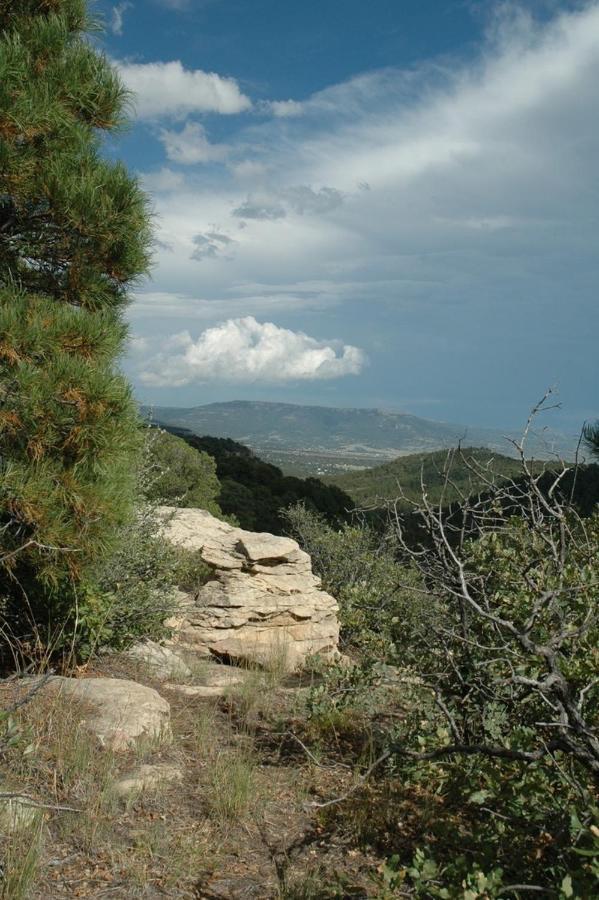 Old Raton Pass Base Camp Cabin With Loft Northern New Mexico Mountain Ranch On Colorado Border Cabin Exterior photo